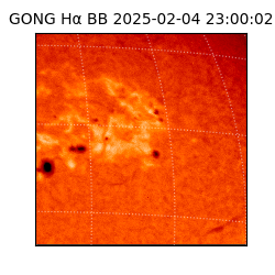 gong - 2025-02-04T23:00:02