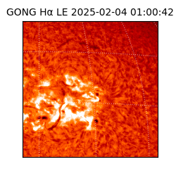 gong - 2025-02-04T01:00:42