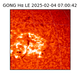 gong - 2025-02-04T07:00:42