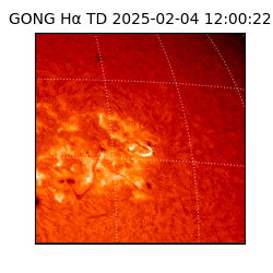gong - 2025-02-04T12:00:22