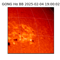 gong - 2025-02-04T19:00:02