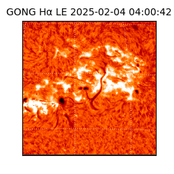 gong - 2025-02-04T04:00:42