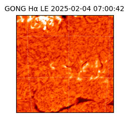 gong - 2025-02-04T07:00:42