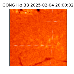 gong - 2025-02-04T20:00:02