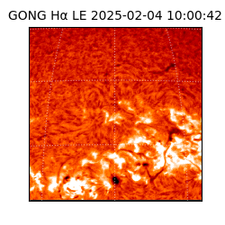 gong - 2025-02-04T10:00:42