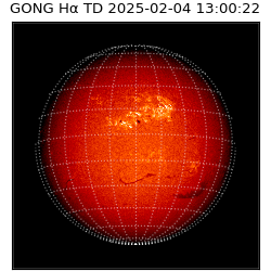 gong - 2025-02-04T13:00:22
