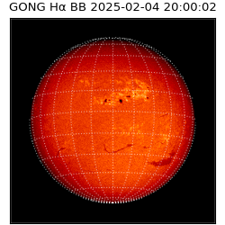 gong - 2025-02-04T20:00:02