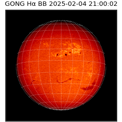gong - 2025-02-04T21:00:02