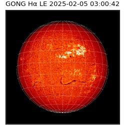 gong - 2025-02-05T03:00:42
