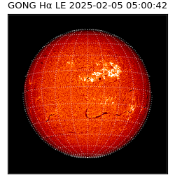 gong - 2025-02-05T05:00:42