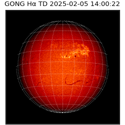 gong - 2025-02-05T14:00:22