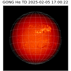 gong - 2025-02-05T17:00:22