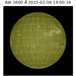 saia - 2025-02-06T19:00:14.132000