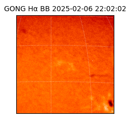 gong - 2025-02-06T22:02:02