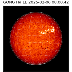 gong - 2025-02-06T08:00:42