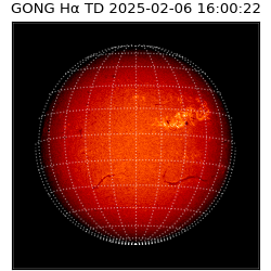 gong - 2025-02-06T16:00:22