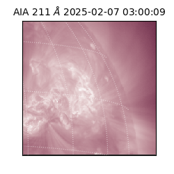 saia - 2025-02-07T03:00:09.625000