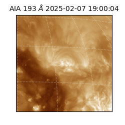saia - 2025-02-07T19:00:04.846000