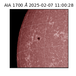 saia - 2025-02-07T11:00:28.717000