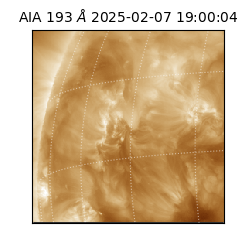 saia - 2025-02-07T19:00:04.846000
