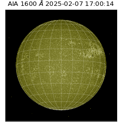 saia - 2025-02-07T17:00:14.132000