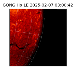 gong - 2025-02-07T03:00:42
