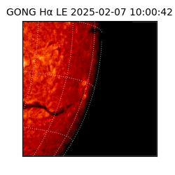 gong - 2025-02-07T10:00:42