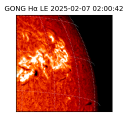 gong - 2025-02-07T02:00:42