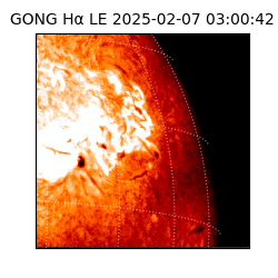 gong - 2025-02-07T03:00:42