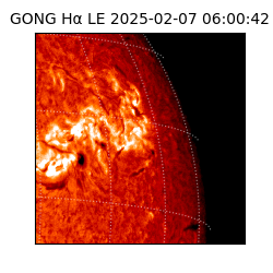 gong - 2025-02-07T06:00:42