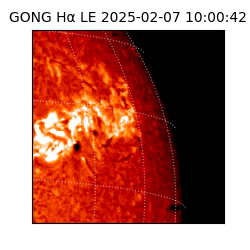 gong - 2025-02-07T10:00:42