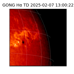 gong - 2025-02-07T13:00:22