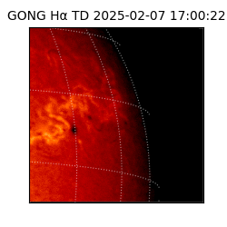 gong - 2025-02-07T17:00:22