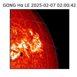 gong - 2025-02-07T02:00:42