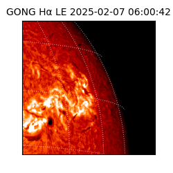 gong - 2025-02-07T06:00:42