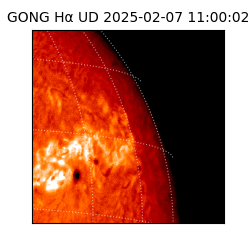 gong - 2025-02-07T11:00:02