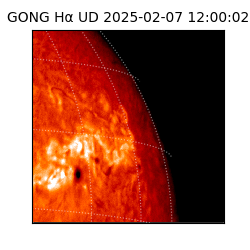 gong - 2025-02-07T12:00:02