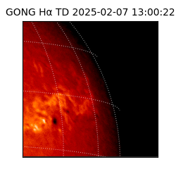 gong - 2025-02-07T13:00:22
