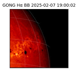 gong - 2025-02-07T19:00:02