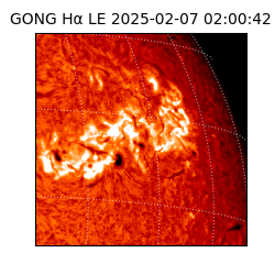 gong - 2025-02-07T02:00:42