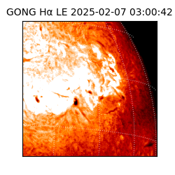 gong - 2025-02-07T03:00:42