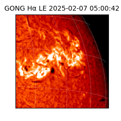 gong - 2025-02-07T05:00:42