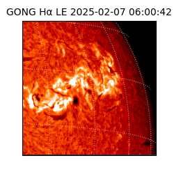 gong - 2025-02-07T06:00:42