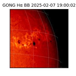 gong - 2025-02-07T19:00:02
