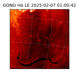 gong - 2025-02-07T01:00:42