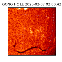 gong - 2025-02-07T02:00:42