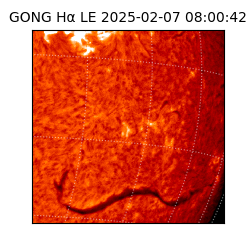 gong - 2025-02-07T08:00:42