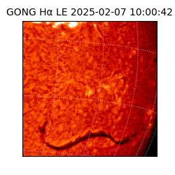 gong - 2025-02-07T10:00:42