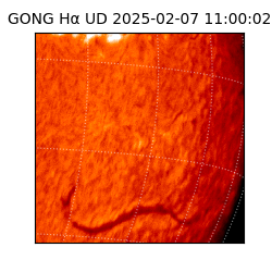 gong - 2025-02-07T11:00:02