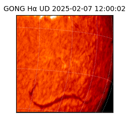 gong - 2025-02-07T12:00:02
